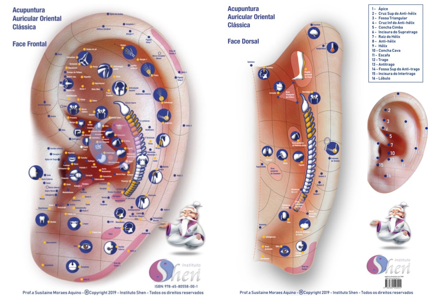 Mapa Auricular Oriental